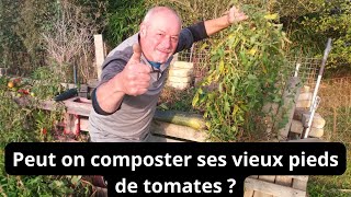 Faut-il composter ses vieux pieds de tomates  ?