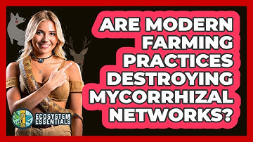 Are Modern Farming Practices Destroying Mycorrhizal Networks? - Ecosystem Essentials