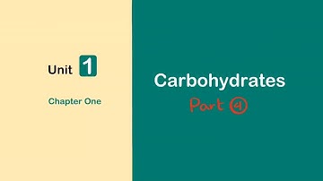 4. Carbohydrates part 4 (Polysaccharides)