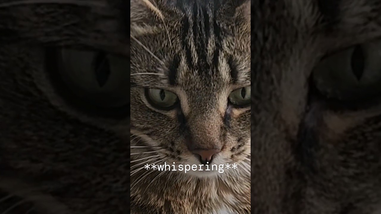 I told my mom I'm famous 