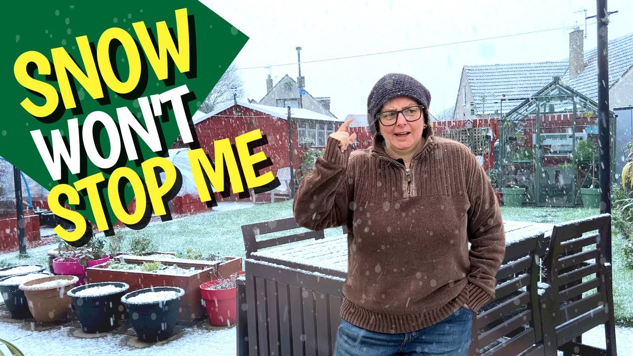 Protecting plants from the frost and freeze