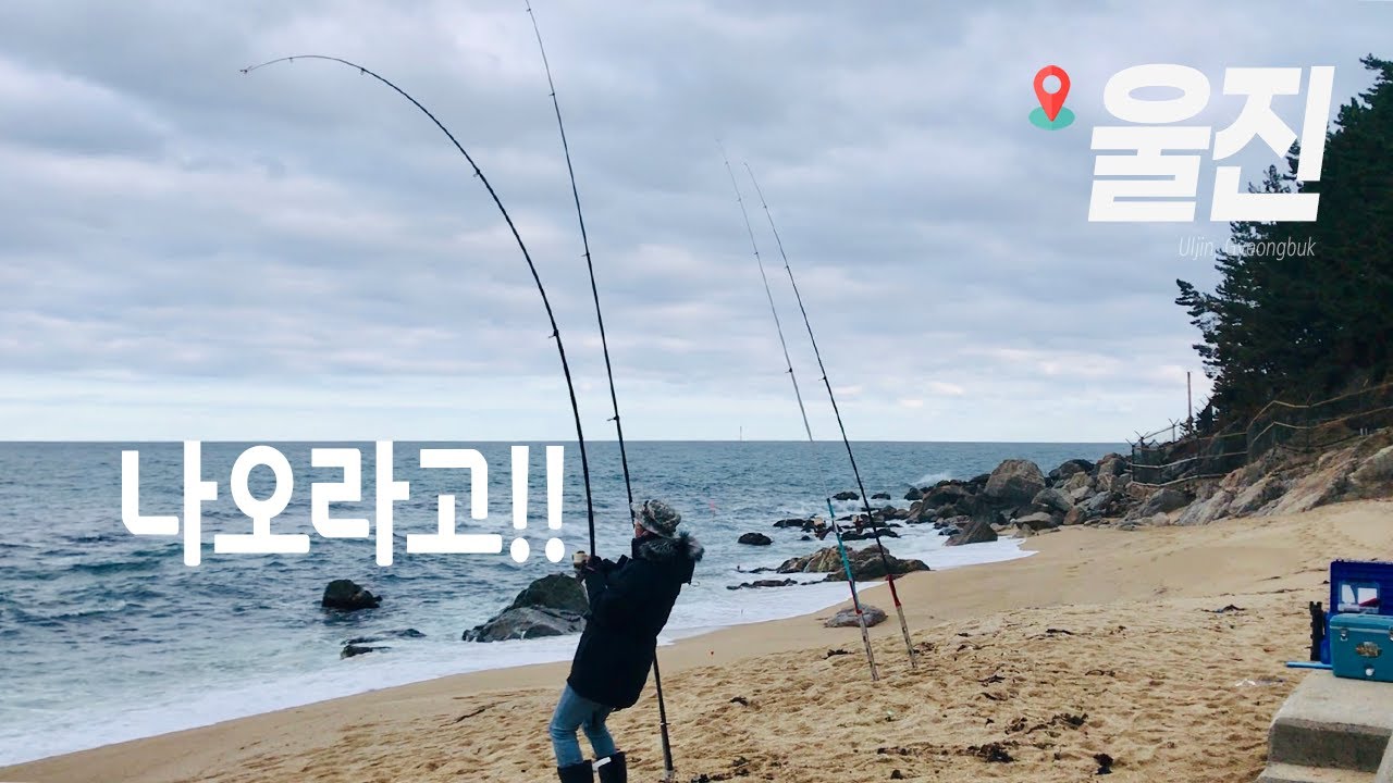 이맛에 원투낚시 합니다... 이번엔 진짜라구요🎣(울진 원투낚시)