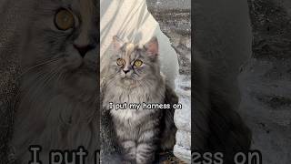 She Is Strong But Innocent