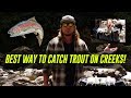 ALL TIME Best Way To Catch TROUT In Creeks, Rivers, & Streams! | In Depth HOW TO.