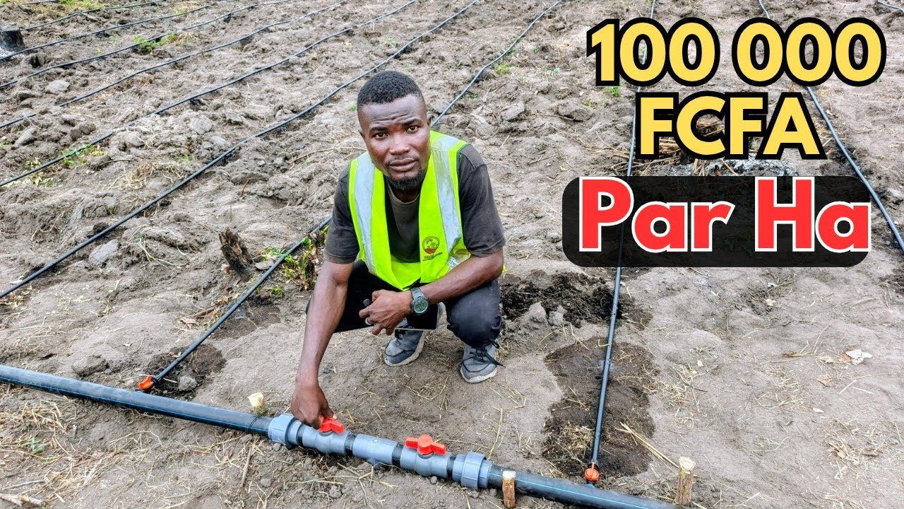 Irriguer Vos champs avec Un Petit budget en 2026