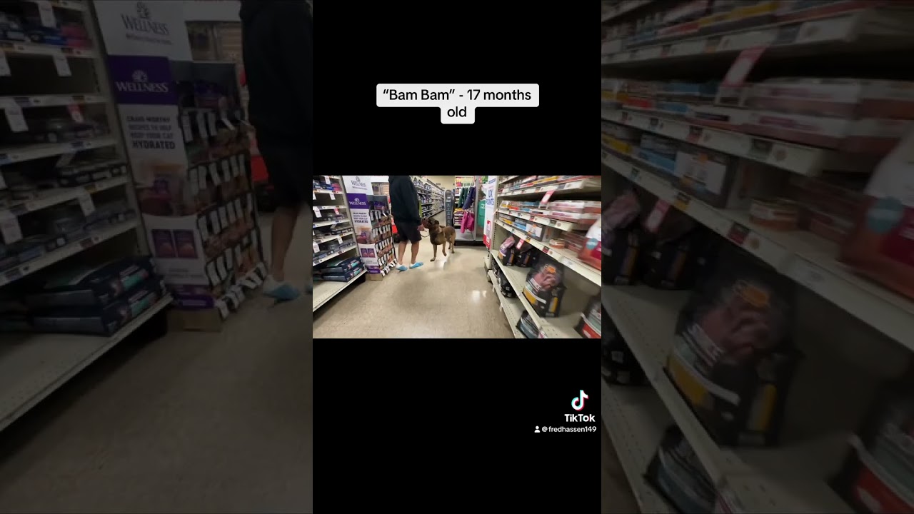 Dog walking through Petsmart backwards.