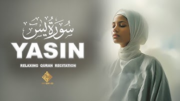 Surah Yasin (Yaseen) for Healing | Relieve Stress, Depression & Anxiety | سورة يس  | Daily Quran TV