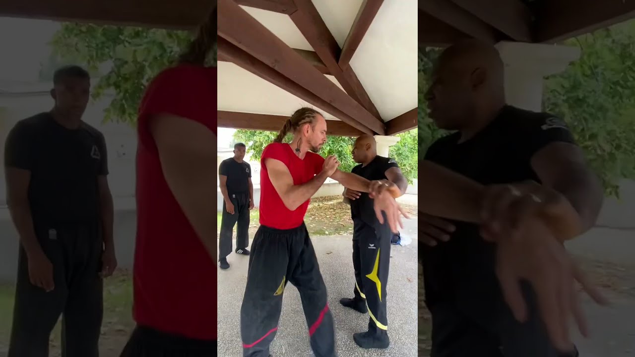 #wingtsun