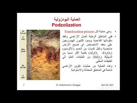 فيديو: ما هو التأثير الأكبر على تكوين التربة؟