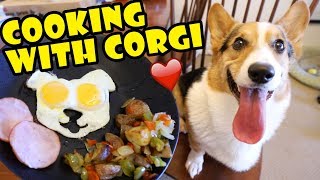 COOKING with CORGI DOG -- Tasty Fall Recipes || Life After College: Ep. 617