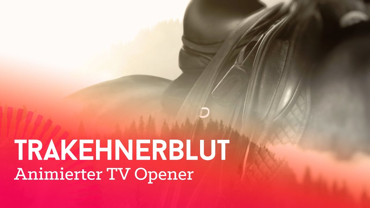 Servus Tv Trakehnerblut Servus Tv Trakehnerblut