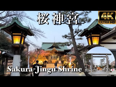 【4K 神社⛩Shrine】桜神宮 〜縁結び・サザエさん縁の地 桜新町〜 Sakura-Jingu Shrine, March 2023🇯🇵Tokyo Japan