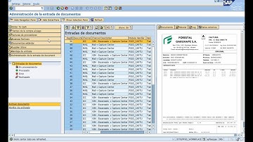 SAP Vendor invoice Managment (VIM) & BCC Opentext Extraction and Validation of Invoices
