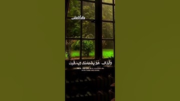 دعاء سيدنا ابراهيم عليه السلام في #سورة_الشعراء #وقرآنا_يتلى #quran #القران_كامل