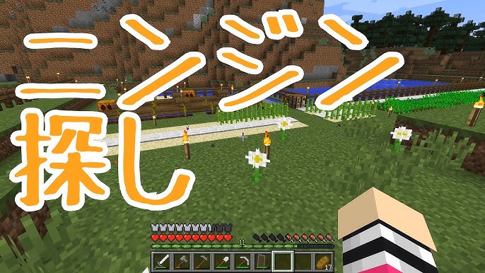 マインクラフト 小麦の種の集め方 こむぎのたねのあつめかた 入手方法 Minecraft基本振り返り1 Youtube