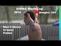 2014 Mens 3 Meter World Diving Cup Diving,  Shanghai, China - Prelims