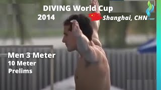 2014 Mens 3 Meter World Diving Cup Diving, Shanghai, China - Prelims