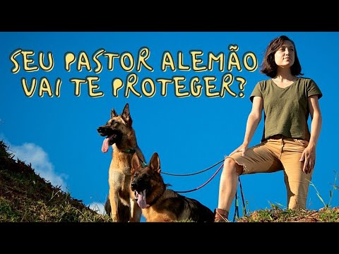 Vídeo: Meu cachorro me protegeria?