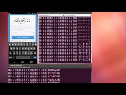 Bleeding In The Browser -  Reverse Heartbleed Exploit on Mobile Proof of Concept