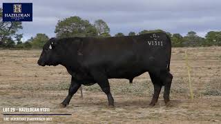 LOT 029 HAZELDEAN V1311