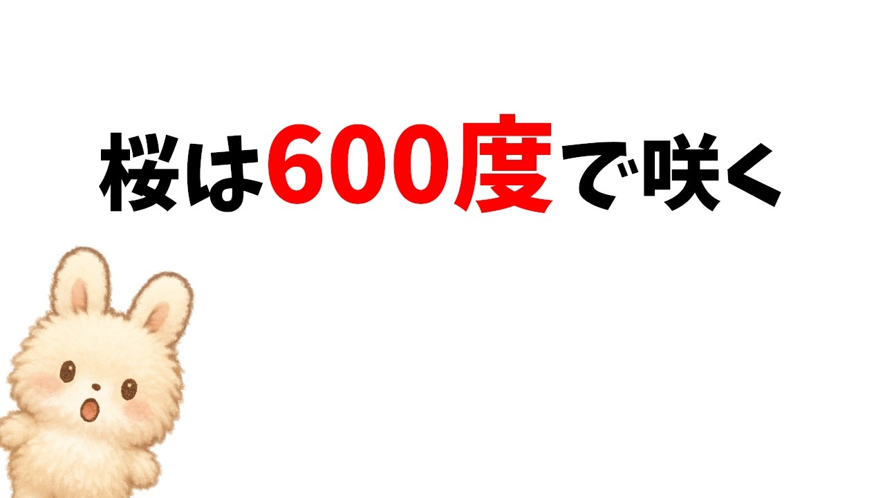 【春】誰かに伝えたくなる雑学：桜・空気・風・光…春の変化が一気にわかる