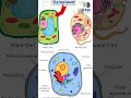 Cytopoplasm and it's composition|comparison between Cytosol and Cytoplasm @BioBrain_by_rafahkhan