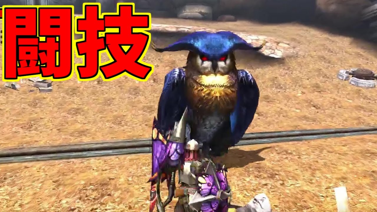 【2週目】闘技大会の「ホロロホルル」に挑む！-PART97-【モンスターハンターダブルクロス】