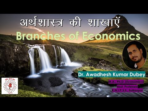 Branches of Economics_Hindi