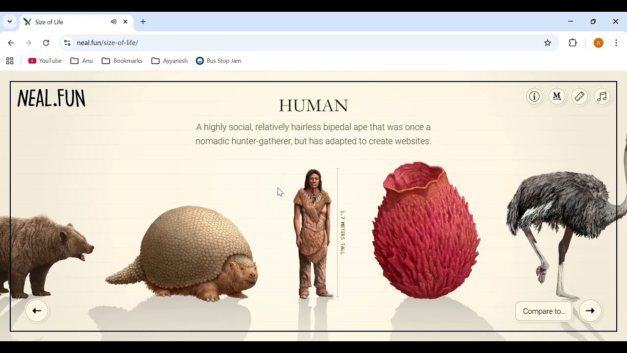 I played a bunch of neal.fun games