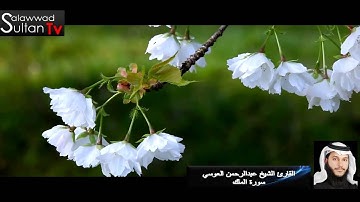 فديو HD القارئ عبدالرحمن العوسي سورة الملك I قناة سلطان العواد