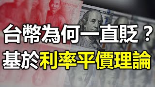為何台幣一直貶？ 基於平價利率理論《小編金選》20230709