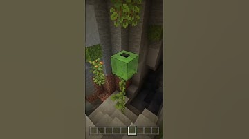 Pressing a Useless Button in Minecraft Day 73