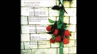 The Pineapple Thief   Part Zero