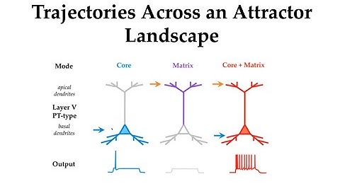 Dynamical Systems in Neuroscience 10: Mac Shine on thalamo-cortical circuits