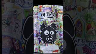 Mephisto Genetics x Grove Bags now in 4oz!