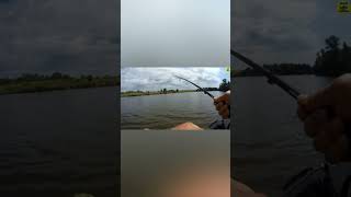 А ОСЬ І ВІН #shorts #short #shortvideo #просторыбалкаruslanfishhunter #щука #риболовля #рыбалка