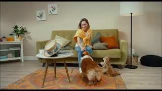 Видеоролик | Дана Ультра - ультра-защита вашей кошки и собаки от блох, клещей и комаров | Апиценна
