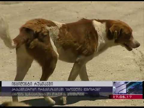 დაისაჯოს მკვლელი!