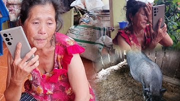 Zoo siab tu niam laus yuav kuv niam tu npua 6 kuv niam tua noj dua xwb kuv niam zoo siab quaj2 heev