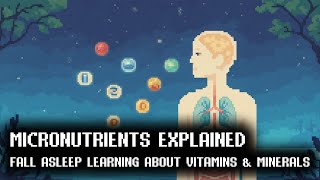 Vitamins and Minerals in the Body | Documentary for Sleep