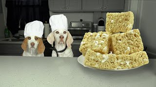 How to Make Rice Krispies Treats with Chef Dogs Indie & Maymo! Best Rice Krispie Treats Recipe