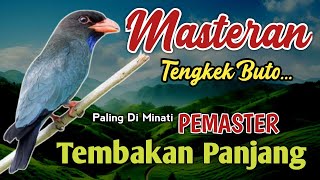 MASTERAN TENGKEK BUTO UNTUK CENDET ~ MATERI CEPAT DIHAFAL PALING DICARI PEMASTER