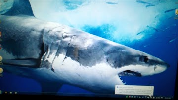 Alienware M15x Vs. M14x Screen quality