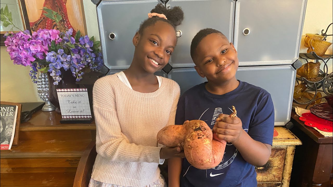 Episode 311: Enormous Sweet Potatoes Grown In Containers The Largest