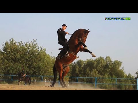 Video: Megaliitne Müüritis Siberis. Suur Teadlaste Vale! - Alternatiivne Vaade