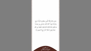 تلاوة في دقيقة سورة التحريم الآية ١٠ الشيخ مشاري العفاسي