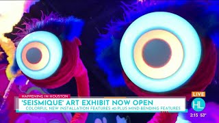 Seismique, a new 40,000-square-foot immersive art museum, now open on Houston’s west side | HOUS...