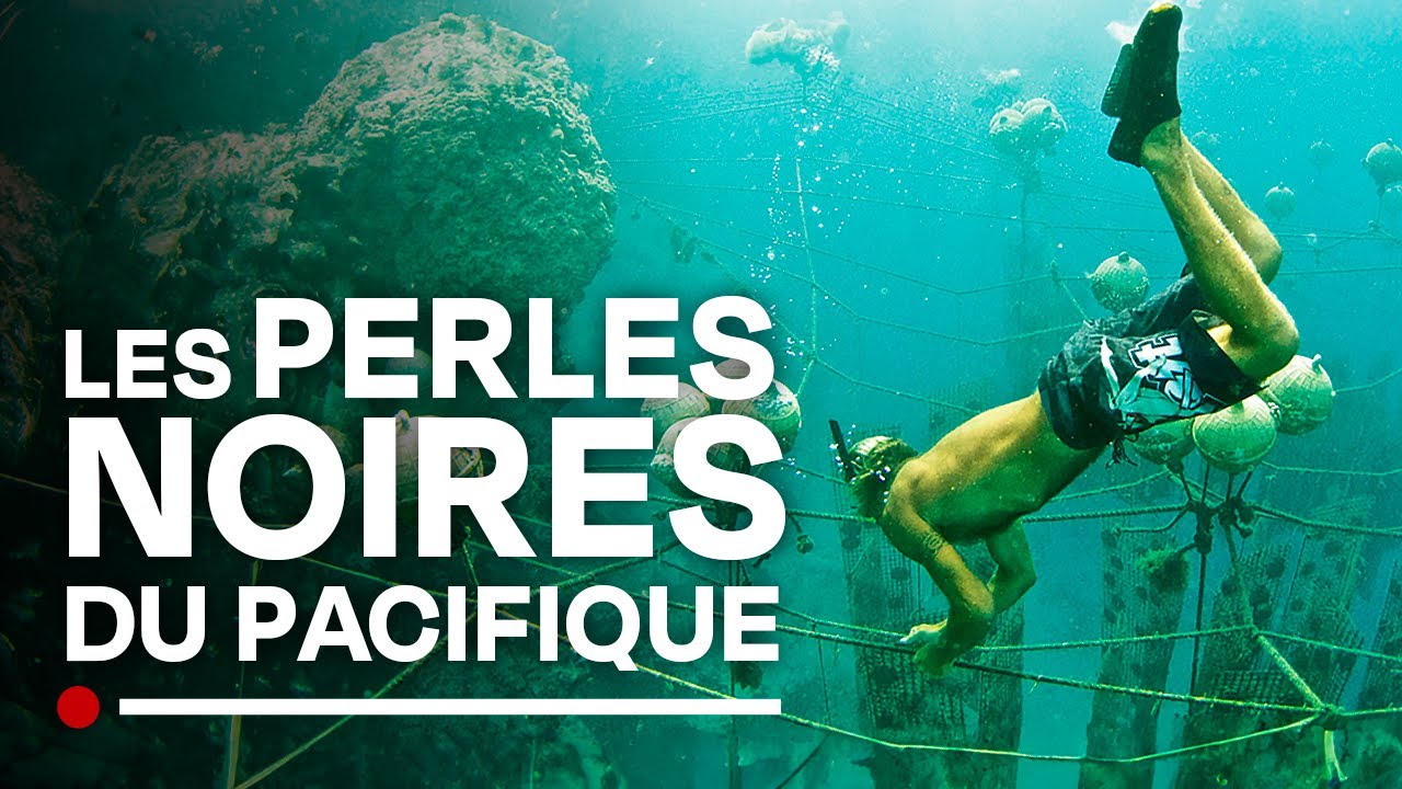 Les perles noires de Tahiti, de la nacre à la perle - Poe Rava - Diamants polynésien - Documentaire