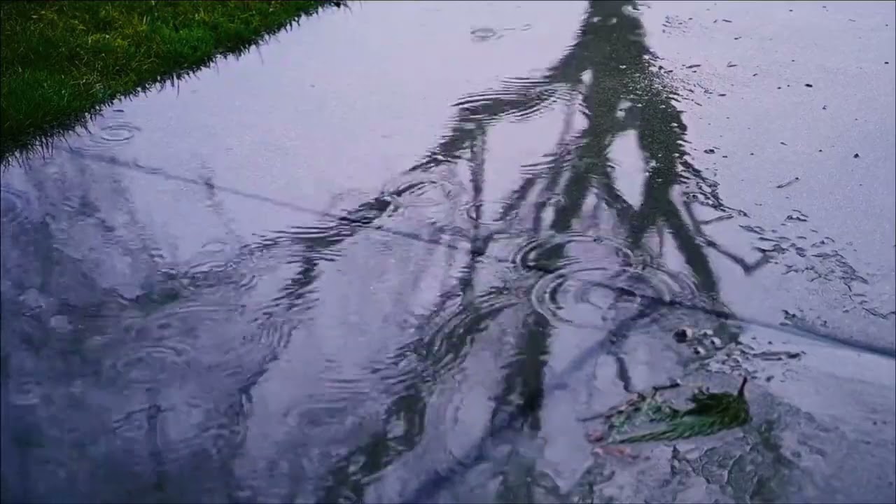 يخفف الأرق ويطرد التفكير السلبي بصوت المطر الغزير والرعد ضوضاء بيضاء كاملة