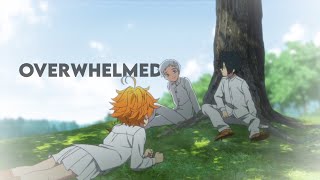 The Promised Neverland [AMV] Overwhelmed Resimi